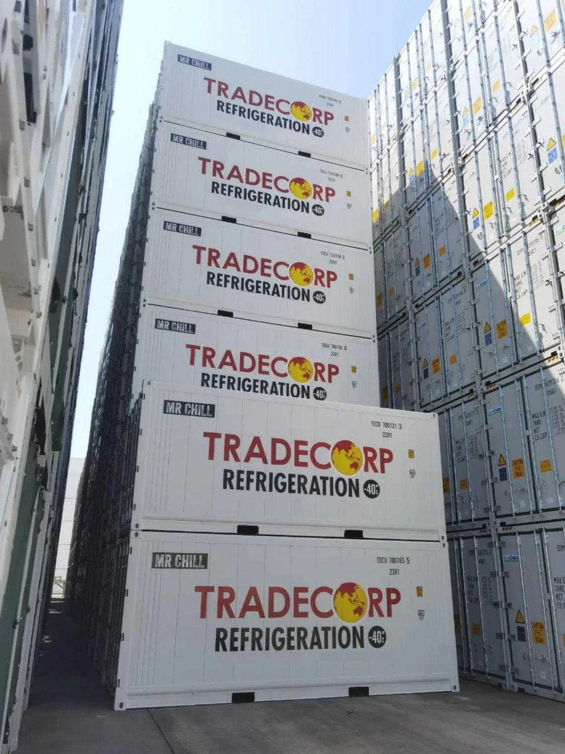 20′ Kühlcontainer – Thermo King Magnum+