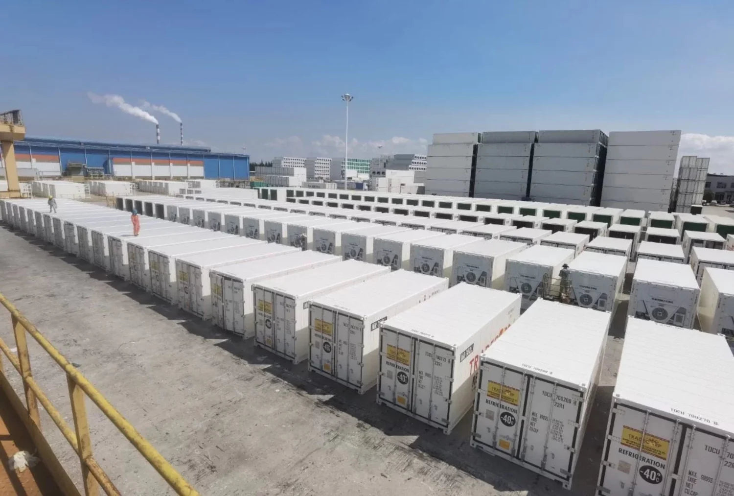 20′ Kühlcontainer – Thermo King Magnum+